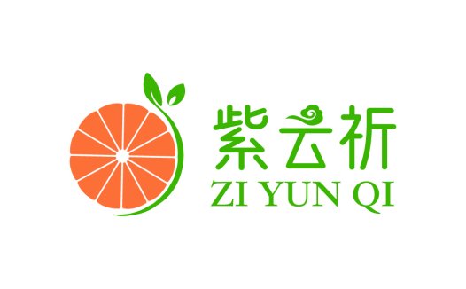 清新橙色水果logo设计