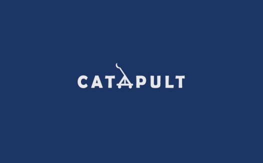 简洁现代的CATAPULT标志设计
