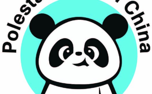 熊猫头像Logo设计：可爱与专业并存