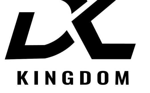 DC Kingdom Darts Logo Design