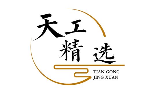 天工精选logo设计