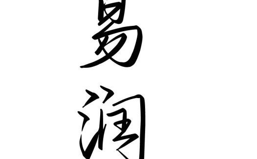 易润logo设计:简洁现代的商务标识