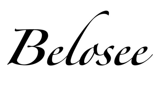 Belosee logo设计:优雅现代字体标识