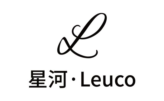 简约优雅的Leucoo品牌logo设计