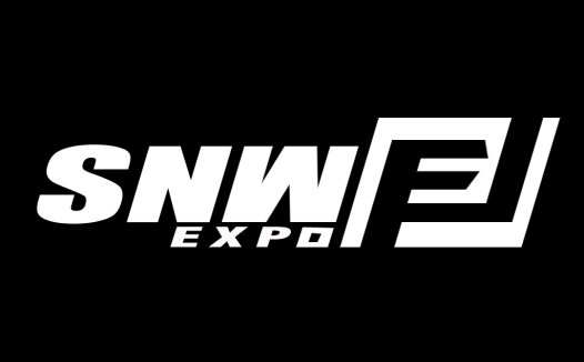 现代简约SNWEXPO标志设计