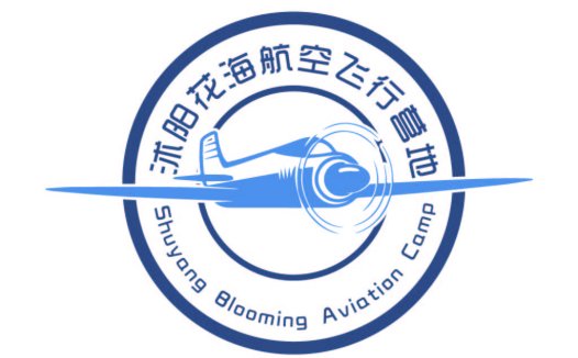 翱翔蓝天航空飞行营地logo设计