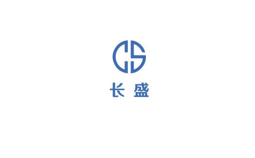 简约现代风格的CS标志设计