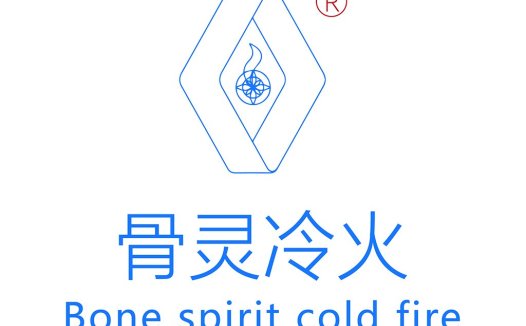 骨灵冷火logo设计