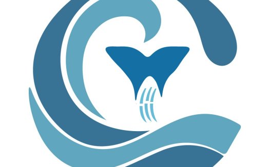 海洋元素的简洁logo设计
