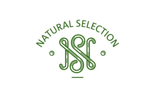 自然精选logo设计:简约绿色植物标志