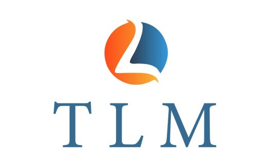 简洁现代的TLMM标志设计