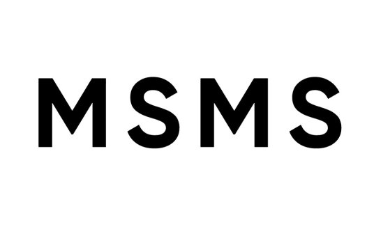 简约风格MSMSMS logo设计