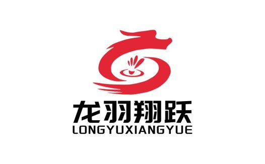 龙羽翔跃logo设计