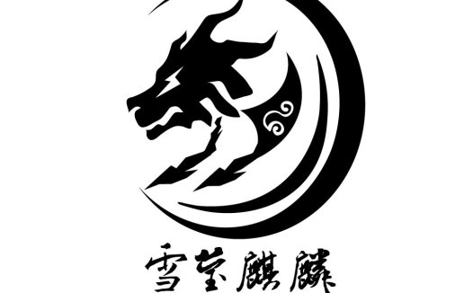 龙形logo设计:传统与现代的完美结合