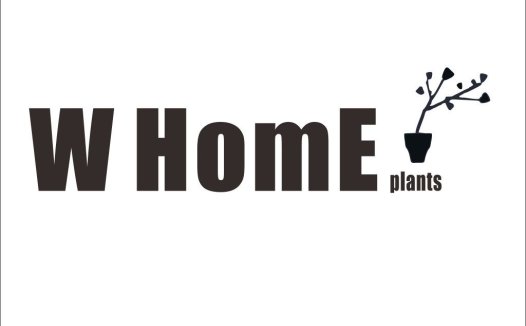 简约现代家居植物logo设计