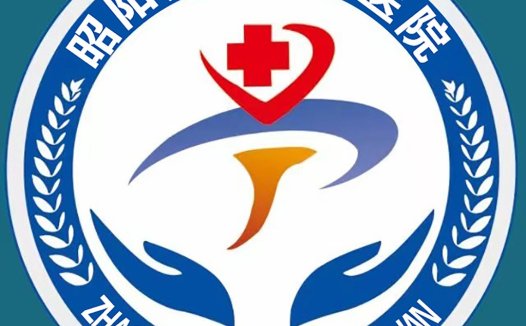 昭阳贵金中医医院logo设计