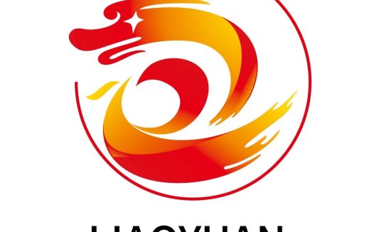 龙形元素的现代logo设计