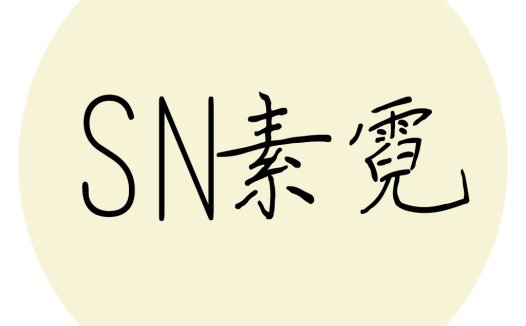 简约风SN素霓电logo设计