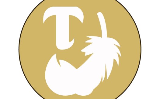 创意字母T与猫头鹰图案的logo设计