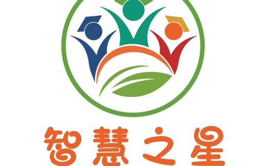教育智慧之星logo设计