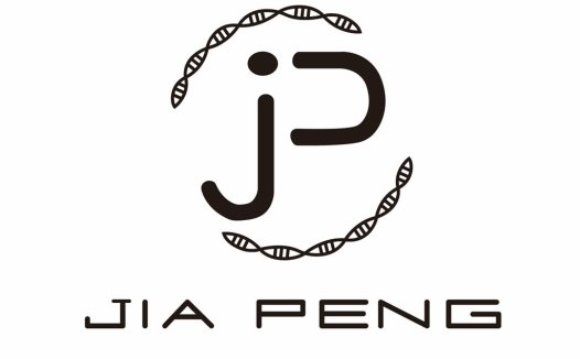 简约DNA元素的Jia Peng Logo设计