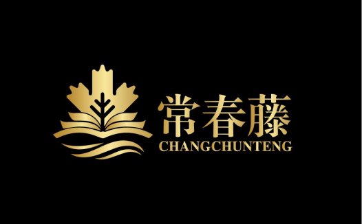 金叶品牌logo设计:高端大气,适用于金融、房地产等行业