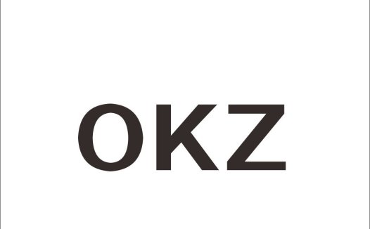 简洁现代风格的OKZZ标志设计
