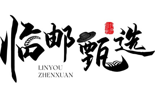 精选邮递服务logo设计