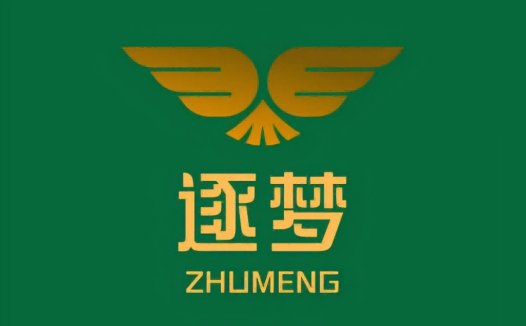 简洁鹰形logo设计,适用于企业品牌