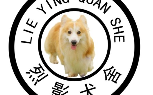 简约圆形宠物logo设计