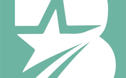 简约星形字母B logo设计