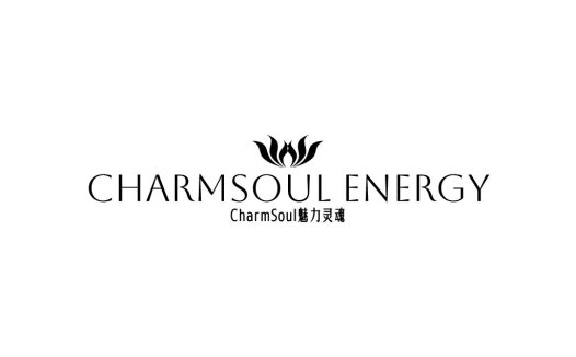 CharmSoul Energy Logo设计