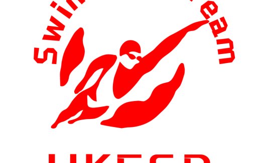 游泳队logo设计:简洁动感的运动标志