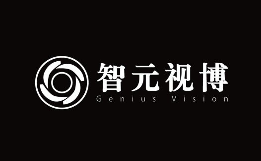 智元视博logo设计