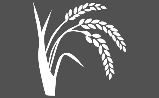 稻穗logo设计:简洁自然的农业品牌标识