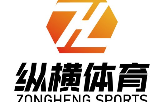 ZONGHENG体育logo设计