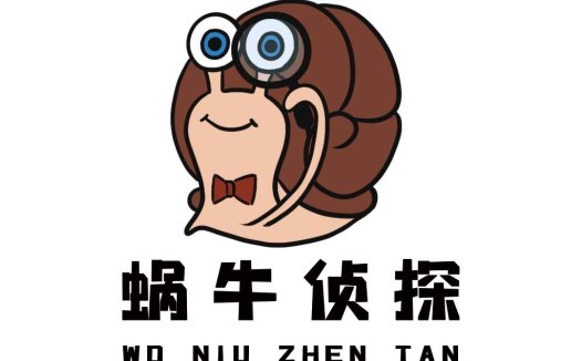 蜗牛侦探logo设计