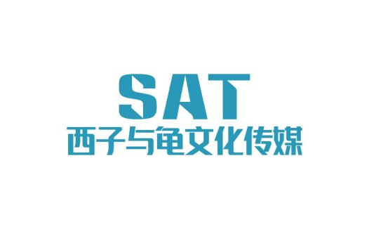 蓝色简洁现代风格SAT中文标题logo设计