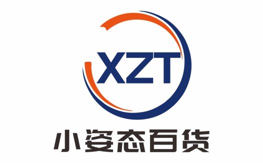 XZT Logo设计:简洁现代企业标识