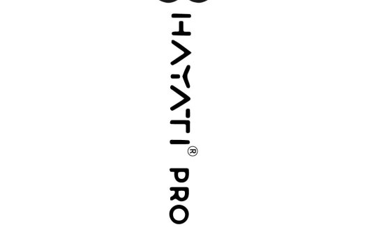 超高端品牌logo设计:简洁优雅的莲花图案
