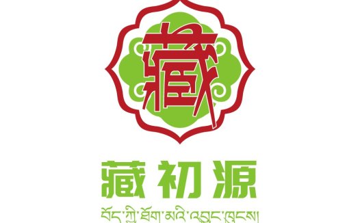 藏初源logo设计:传统与现代的完美结合