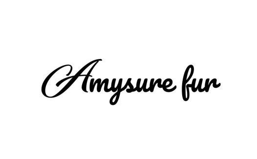 Amysurefun logo设计