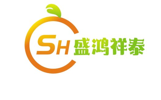 简约橙色水果logo设计