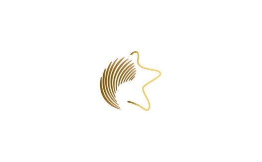 星形线条艺术logo设计