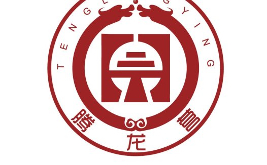 龙腾logo设计:中国风企业标识