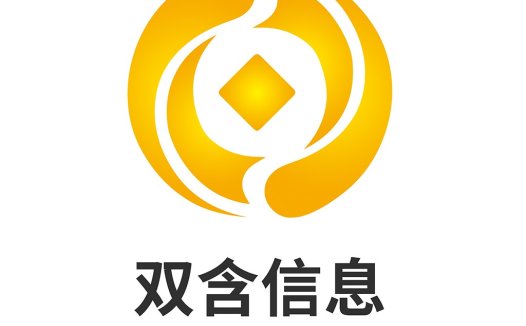 双含信息logo设计:简洁现代企业标识