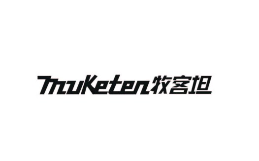 简约现代风格的TnuKetenen logo设计