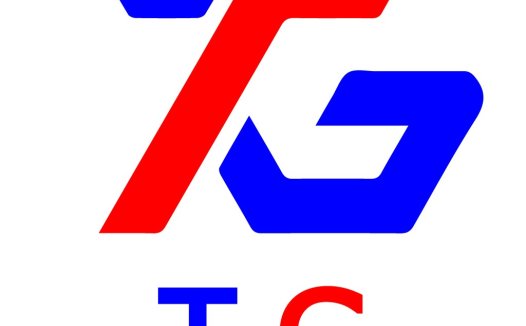TG logo设计:现代简洁标识
