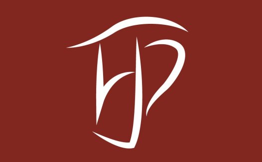 简约优雅的DP字母标志设计