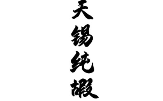 天锡纯掇logo设计